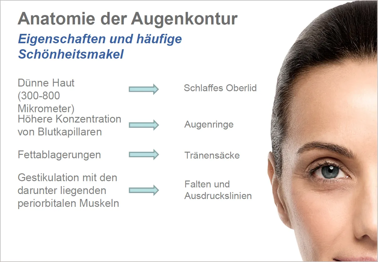 Anatomie der Augenkontur – Eigenschaften und häufige Schönheitsmakel: Beauty Lounge Schönheitsstudio in München-Pasing behandelt ihre Problemstellen.